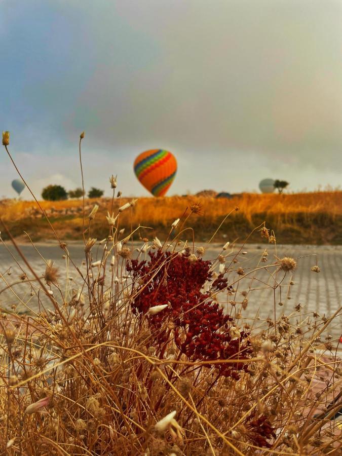 Soleado Cappadocia Hotel 乌奇希萨尔 外观 照片